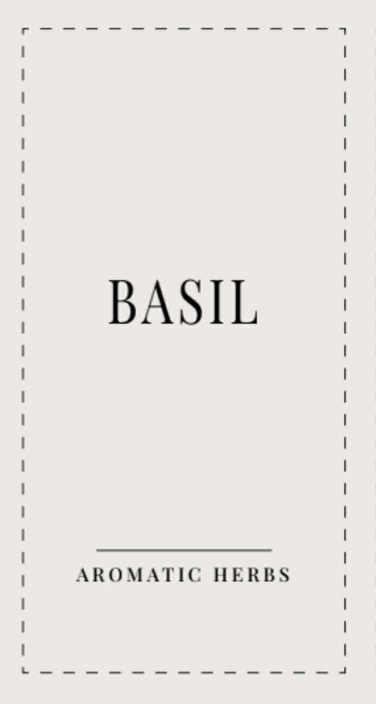 EN | Herbs & Spices | 50 Labels