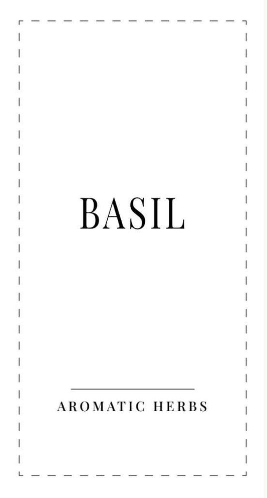 EN | Herbs & Spices | 50 Labels